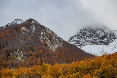 Mainarde sıradağları Molise ve Lazio arasındaki sınır boyunca uzanır ve Molise topraklarında yaygındır. Bu çok kayalık doğal bir bariyer ve engebeli bir görünüm.