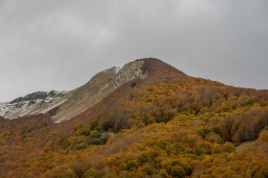 Mainarde sıradağları Molise ve Lazio arasındaki sınır boyunca uzanır ve Molise topraklarında yaygındır. Bu çok kayalık doğal bir bariyer ve engebeli bir görünüm.