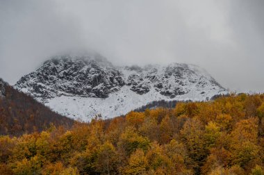 Mainarde sıradağları Molise ve Lazio arasındaki sınır boyunca uzanır ve Molise topraklarında yaygındır. Bu çok kayalık doğal bir bariyer ve engebeli bir görünüm.