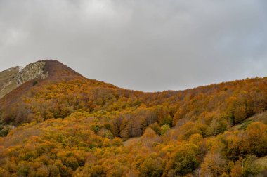 Mainarde sıradağları Molise ve Lazio arasındaki sınır boyunca uzanır ve Molise topraklarında yaygındır. Bu çok kayalık doğal bir bariyer ve engebeli bir görünüm.