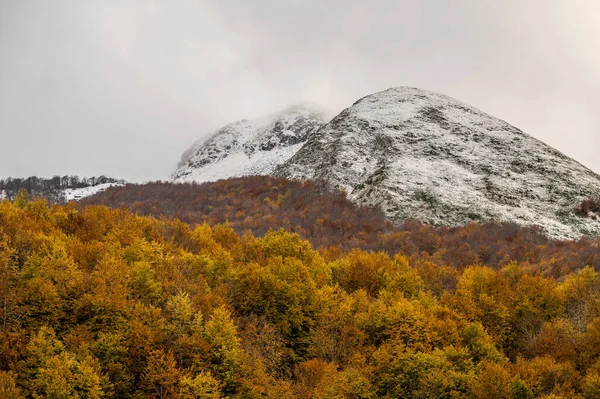 Mainarde sıradağları Molise ve Lazio arasındaki sınır boyunca uzanır ve Molise topraklarında yaygındır. Bu çok kayalık doğal bir bariyer ve engebeli bir görünüm.
