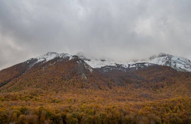 Mainarde sıradağları Molise ve Lazio arasındaki sınır boyunca uzanır ve Molise topraklarında yaygındır. Bu çok kayalık doğal bir bariyer ve engebeli bir görünüm.