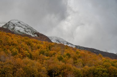 Mainarde sıradağları Molise ve Lazio arasındaki sınır boyunca uzanır ve Molise topraklarında yaygındır. Bu çok kayalık doğal bir bariyer ve engebeli bir görünüm.