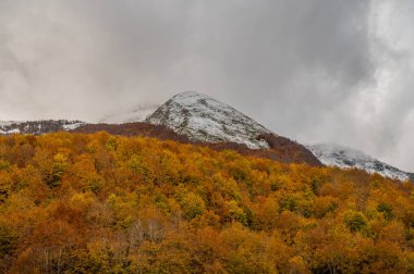Mainarde sıradağları Molise ve Lazio arasındaki sınır boyunca uzanır ve Molise topraklarında yaygındır. Bu çok kayalık doğal bir bariyer ve engebeli bir görünüm.