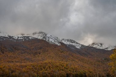 Mainarde sıradağları Molise ve Lazio arasındaki sınır boyunca uzanır ve Molise topraklarında yaygındır. Bu çok kayalık doğal bir bariyer ve engebeli bir görünüm.