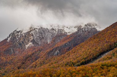 Mainarde sıradağları Molise ve Lazio arasındaki sınır boyunca uzanır ve Molise topraklarında yaygındır. Bu çok kayalık doğal bir bariyer ve engebeli bir görünüm.
