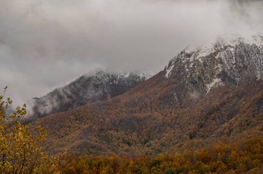 Mainarde sıradağları Molise ve Lazio arasındaki sınır boyunca uzanır ve Molise topraklarında yaygındır. Bu çok kayalık doğal bir bariyer ve engebeli bir görünüm.