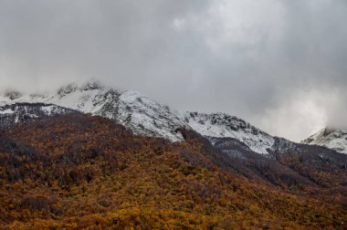 Mainarde sıradağları Molise ve Lazio arasındaki sınır boyunca uzanır ve Molise topraklarında yaygındır. Bu çok kayalık doğal bir bariyer ve engebeli bir görünüm.