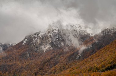Mainarde sıradağları Molise ve Lazio arasındaki sınır boyunca uzanır ve Molise topraklarında yaygındır. Bu çok kayalık doğal bir bariyer ve engebeli bir görünüm.
