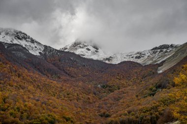 Mainarde sıradağları Molise ve Lazio arasındaki sınır boyunca uzanır ve Molise topraklarında yaygındır. Bu çok kayalık doğal bir bariyer ve engebeli bir görünüm.