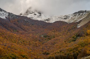 Mainarde sıradağları Molise ve Lazio arasındaki sınır boyunca uzanır ve Molise topraklarında yaygındır. Bu çok kayalık doğal bir bariyer ve engebeli bir görünüm.