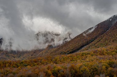 Mainarde sıradağları Molise ve Lazio arasındaki sınır boyunca uzanır ve Molise topraklarında yaygındır. Bu çok kayalık doğal bir bariyer ve engebeli bir görünüm.