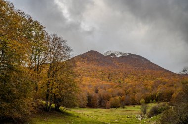 Mainarde sıradağları Molise ve Lazio arasındaki sınır boyunca uzanır ve Molise topraklarında yaygındır. Bu çok kayalık doğal bir bariyer ve engebeli bir görünüm.
