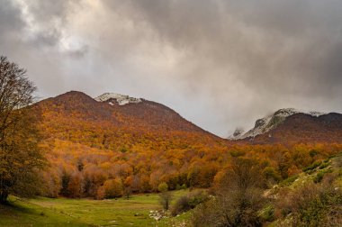 Mainarde sıradağları Molise ve Lazio arasındaki sınır boyunca uzanır ve Molise topraklarında yaygındır. Bu çok kayalık doğal bir bariyer ve engebeli bir görünüm.