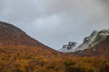 Mainarde sıradağları Molise ve Lazio arasındaki sınır boyunca uzanır ve Molise topraklarında yaygındır. Bu çok kayalık doğal bir bariyer ve engebeli bir görünüm.