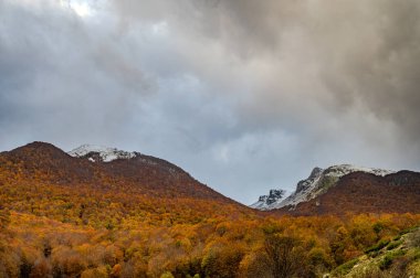 Mainarde sıradağları Molise ve Lazio arasındaki sınır boyunca uzanır ve Molise topraklarında yaygındır. Bu çok kayalık doğal bir bariyer ve engebeli bir görünüm.