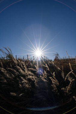 İtalya 'nın doğusunda yer alan Marş, Apennine dağları ile Adriyatik Denizi arasında yükselir..