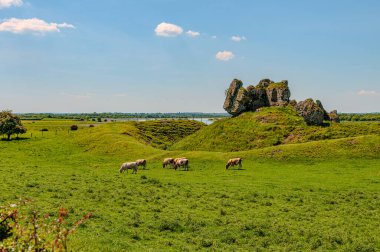Klonmacnoise, zamanın ana doğu yollarının kesiştiği yer olan St Ciarn tarafından 545 yılında orta İrlanda 'dan Eiscir Riada' ya kurulmuştur..