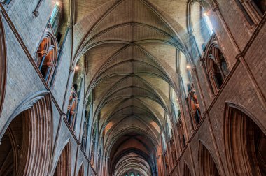 St Patricks Katedrali Dublin 'in en popüler yerlerinden biridir. Katedral, ortaçağ şehri Dublin 'den kalan az sayıdaki binadan biridir..