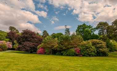İrlanda, Killarney 'deki Muckross Evi, Kerry ilçesi. William Burn tarafından tasarlandı ve 1843 'te inşa edildi. Görünüm
