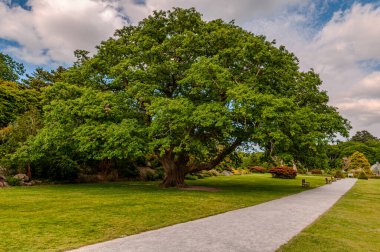 İrlanda, Killarney 'deki Muckross Evi, Kerry ilçesi. William Burn tarafından tasarlandı ve 1843 'te inşa edildi. Görünüm
