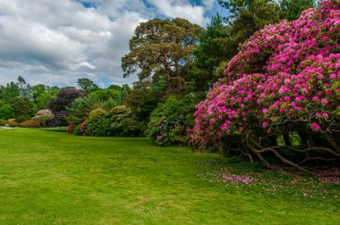 İrlanda, Killarney 'deki Muckross Evi, Kerry ilçesi. William Burn tarafından tasarlandı ve 1843 'te inşa edildi. Görünüm