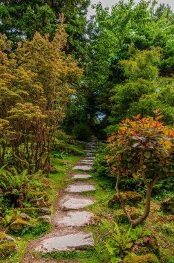 İrlanda, Killarney 'deki Muckross Evi, Kerry ilçesi. William Burn tarafından tasarlandı ve 1843 'te inşa edildi. Görünüm