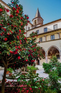 Roccamonfina 'da. Madonna dei Lattani 'nin mabedi. Monte dei Lattani 'de, deniz seviyesinden 850 metre yüksekte, Roccamonfina' nın geniş volkanik alanındaki birçok kraterden biridir..