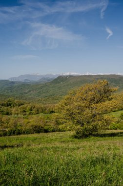 Molise, Adriyatik Denizi kıyısında uzanan bir İtalyan dağlık bölgesidir. Apennine Dağları 'ndaki Abruzzo Milli Parkı' nın zengin bir kısmını kapsıyor..