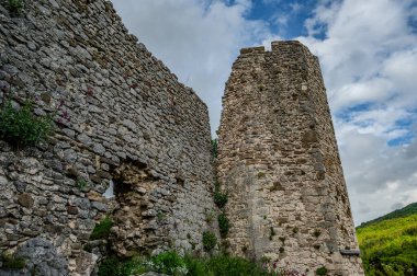 Alfedena kalesi, İtalya 'nın aynı adı taşıyan ve sekizgen bir kule ve duvarların bazı bölümlerinin bulunduğu 10.-11. yüzyıla dayanan bir kalenin kalıntıları.