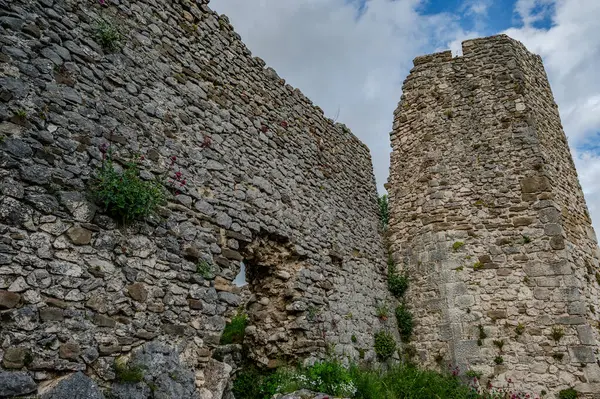 Alfedena kalesi, İtalya 'nın aynı adı taşıyan ve sekizgen bir kule ve duvarların bazı bölümlerinin bulunduğu 10.-11. yüzyıla dayanan bir kalenin kalıntıları.
