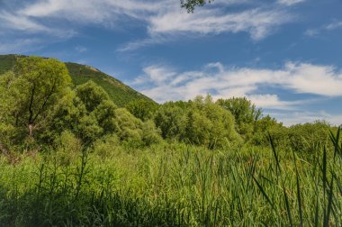 Posta Fibreno Gölü Comino Vadisi 'nde yer almaktadır. Göl, yerel faunasına ek olarak Plinio il Vecchio tarafından tanımlanmış doğal yüzen bir adanın varlığıyla da bilinir..