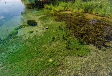 Posta Fibreno Gölü Comino Vadisi 'nde yer almaktadır. Göl, yerel faunasına ek olarak Plinio il Vecchio tarafından tanımlanmış doğal yüzen bir adanın varlığıyla da bilinir..