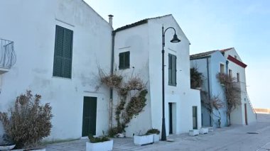 Termoli, İtalya 'nın Molise eyaletinde Campobasso eyaletinde yer alan bir şehirdir. Termoli, Adriyatik kıyısında yer almaktadır.. 