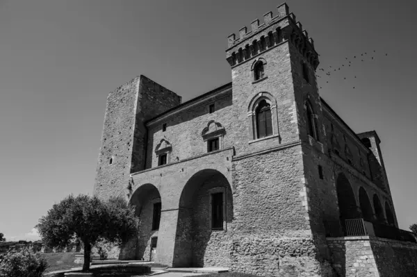 Kale, çok sayıda binayı çevreleyen dört köşe kuleden oluşur. Ayrıca bir bahçeyi çevreleyen duvarlarla çevrilidir..