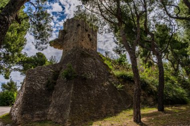 Kaynaklar, tepedeki yerleşim yerinin 11. yüzyıldan başladığına dair haberler bildiriyor, ancak kalenin kökeni 8. ve 9. yüzyıllara dayanıyor olabilir..