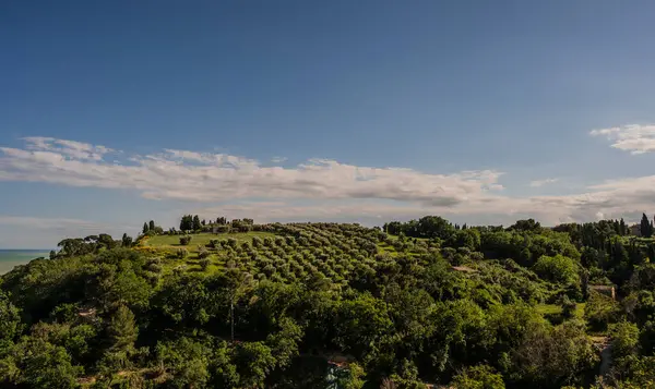İtalya 'nın doğusunda yer alan Marş, Apennine dağları ile Adriyatik Denizi arasında yükselir..