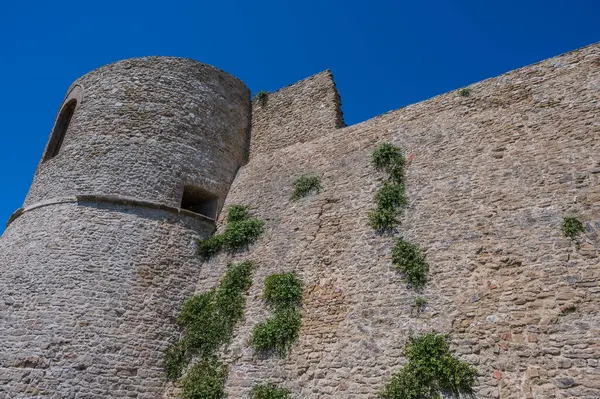 Aragonese Kalesi, Ortona 'nın şehrin kıyısındaki ve deniz manzaralı bir kalesidir. 1773-1812 yılları arasında Ortona Ludovica Ianneys 'in (1756-1812) koruyucusunun ünlü konutu..