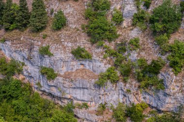 Milyonlarca yıl boyunca, Orfento Nehri (Caramanico Terme belediyesinde) söğütler, eğreltiotları ve yosunların yer aldığı yoğun nehir bitkileriyle kaplı dar bir vadi oluşturdu..
