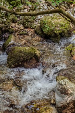 Milyonlarca yıl boyunca, Orfento Nehri (Caramanico Terme belediyesinde) söğütler, eğreltiotları ve yosunların yer aldığı yoğun nehir bitkileriyle kaplı dar bir vadi oluşturdu..