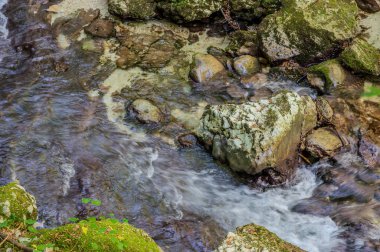 Milyonlarca yıl boyunca, Orfento Nehri (Caramanico Terme belediyesinde) söğütler, eğreltiotları ve yosunların yer aldığı yoğun nehir bitkileriyle kaplı dar bir vadi oluşturdu..