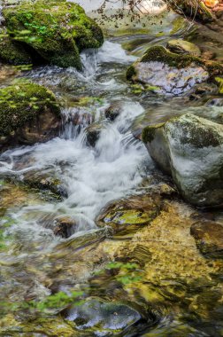 Milyonlarca yıl boyunca, Orfento Nehri (Caramanico Terme belediyesinde) söğütler, eğreltiotları ve yosunların yer aldığı yoğun nehir bitkileriyle kaplı dar bir vadi oluşturdu..