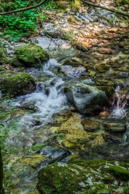Milyonlarca yıl boyunca, Orfento Nehri (Caramanico Terme belediyesinde) söğütler, eğreltiotları ve yosunların yer aldığı yoğun nehir bitkileriyle kaplı dar bir vadi oluşturdu..