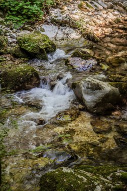 Milyonlarca yıl boyunca, Orfento Nehri (Caramanico Terme belediyesinde) söğütler, eğreltiotları ve yosunların yer aldığı yoğun nehir bitkileriyle kaplı dar bir vadi oluşturdu..