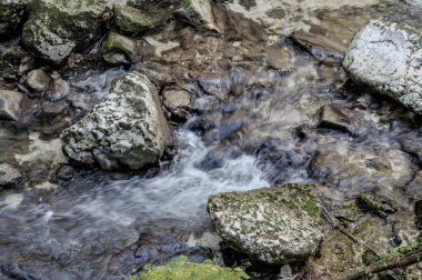 Milyonlarca yıl boyunca, Orfento Nehri (Caramanico Terme belediyesinde) söğütler, eğreltiotları ve yosunların yer aldığı yoğun nehir bitkileriyle kaplı dar bir vadi oluşturdu..