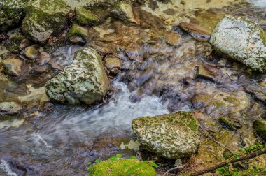 Milyonlarca yıl boyunca, Orfento Nehri (Caramanico Terme belediyesinde) söğütler, eğreltiotları ve yosunların yer aldığı yoğun nehir bitkileriyle kaplı dar bir vadi oluşturdu..
