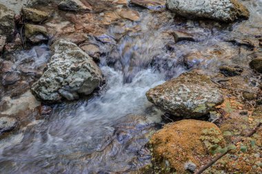 Milyonlarca yıl boyunca, Orfento Nehri (Caramanico Terme belediyesinde) söğütler, eğreltiotları ve yosunların yer aldığı yoğun nehir bitkileriyle kaplı dar bir vadi oluşturdu..