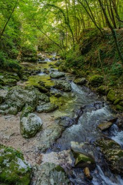 Milyonlarca yıl boyunca, Orfento Nehri (Caramanico Terme belediyesinde) söğütler, eğreltiotları ve yosunların yer aldığı yoğun nehir bitkileriyle kaplı dar bir vadi oluşturdu..
