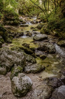 Milyonlarca yıl boyunca, Orfento Nehri (Caramanico Terme belediyesinde) söğütler, eğreltiotları ve yosunların yer aldığı yoğun nehir bitkileriyle kaplı dar bir vadi oluşturdu..