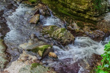 Milyonlarca yıl boyunca, Orfento Nehri (Caramanico Terme belediyesinde) söğütler, eğreltiotları ve yosunların yer aldığı yoğun nehir bitkileriyle kaplı dar bir vadi oluşturdu..